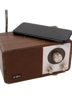 radio R10 Bluetooth><noscript><img width=